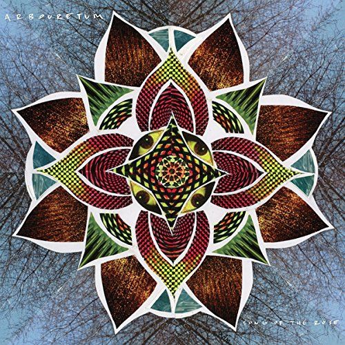 Song of the Rose [Digital Download Card] [LP] cover art