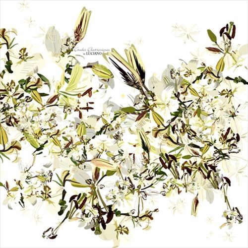 Etudes Electroniques cover art