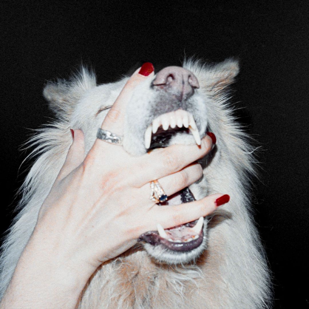 Hush cover art