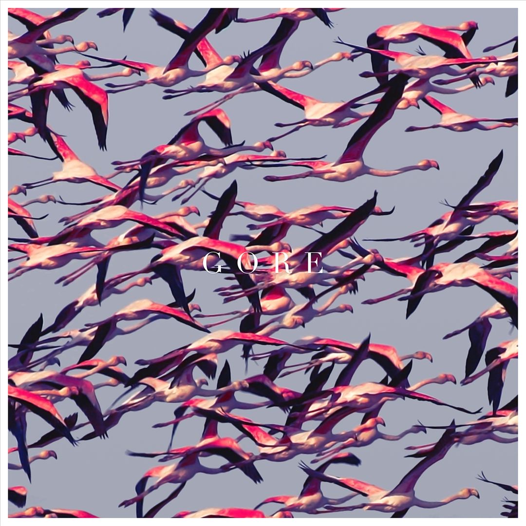 Gore [White Double LP] cover art