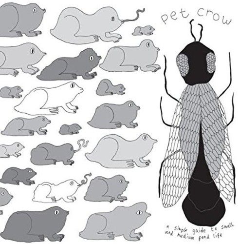 Simple Guide to Small and Medium Pond Life cover art
