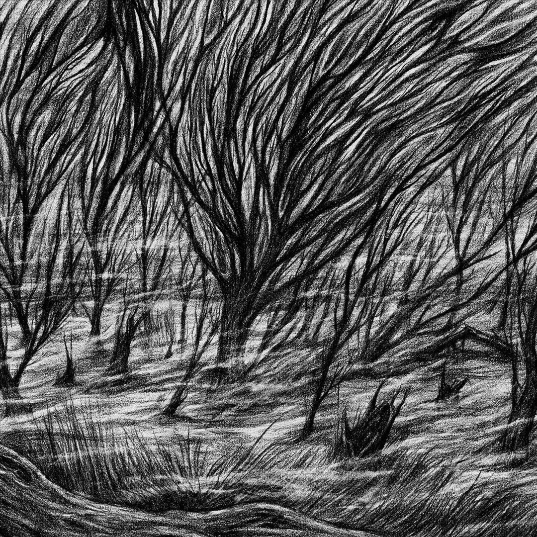 Eternal Marshes cover art