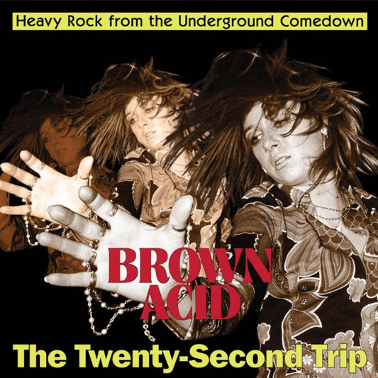 Brown Acid: The Twenty-Second Trip cover art