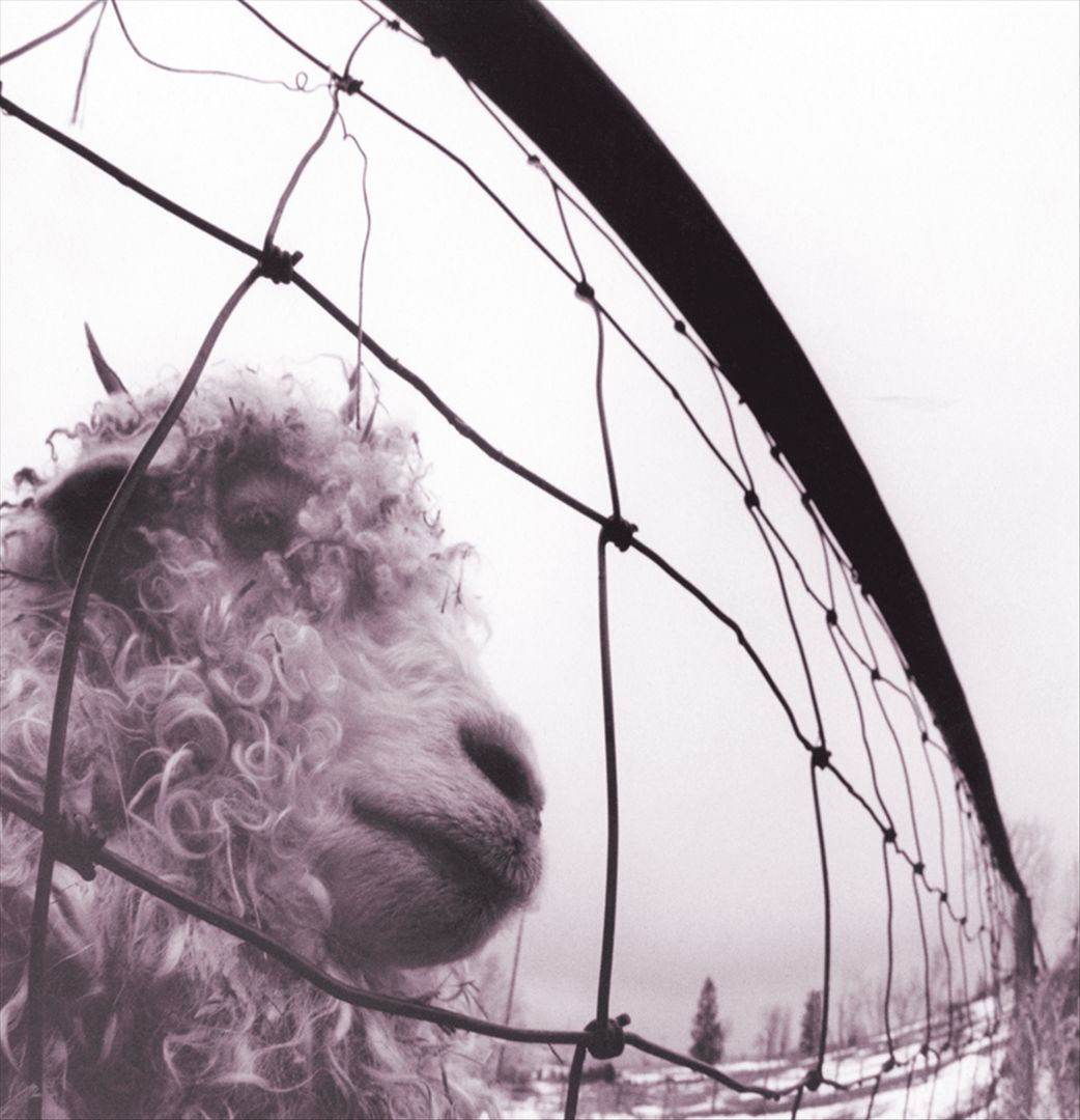 Vs. [Remastered] cover art