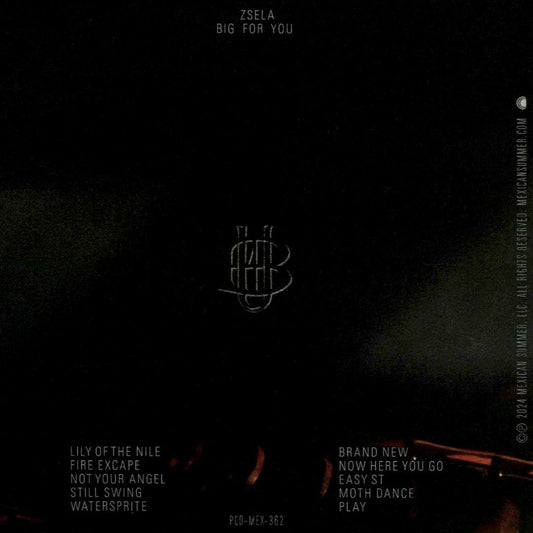 Big for You cover art