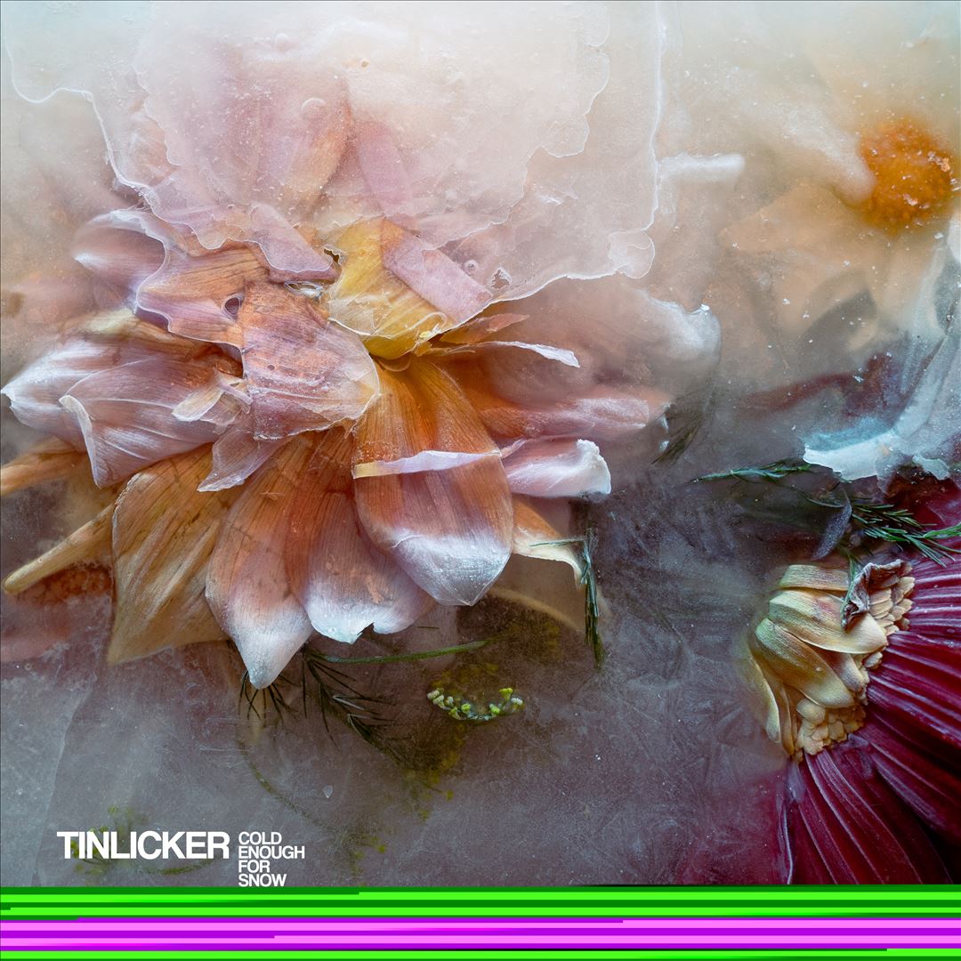 Cold Enough for Snow cover art