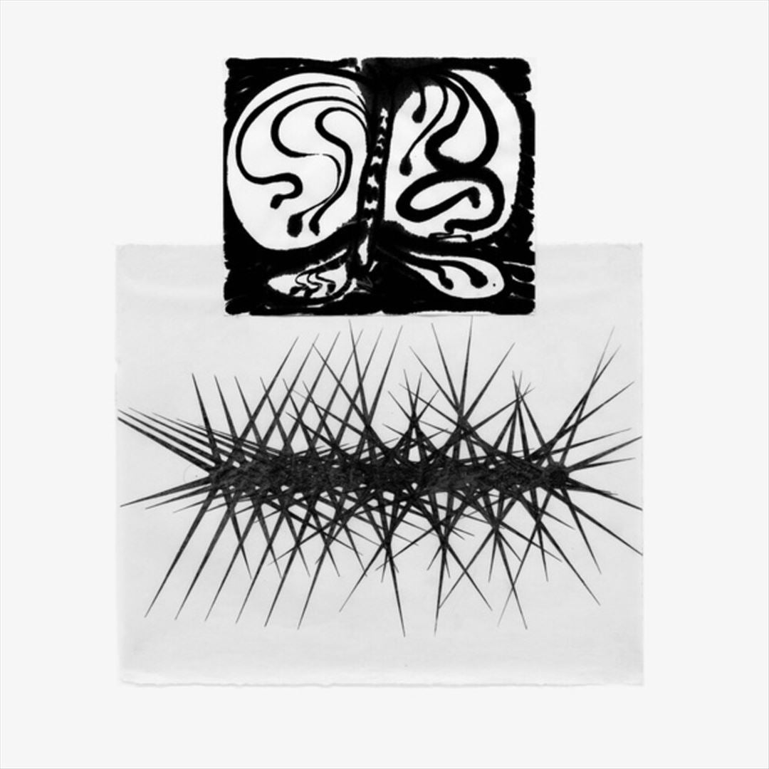 Halos of Perception cover art