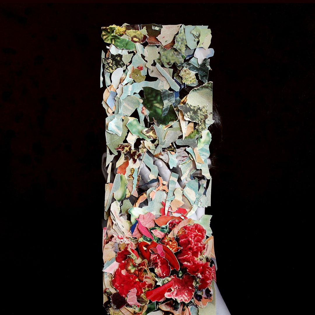Taller Us cover art