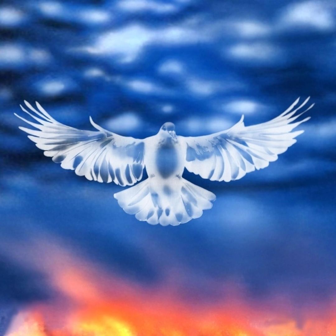 Mission Barnhus cover art