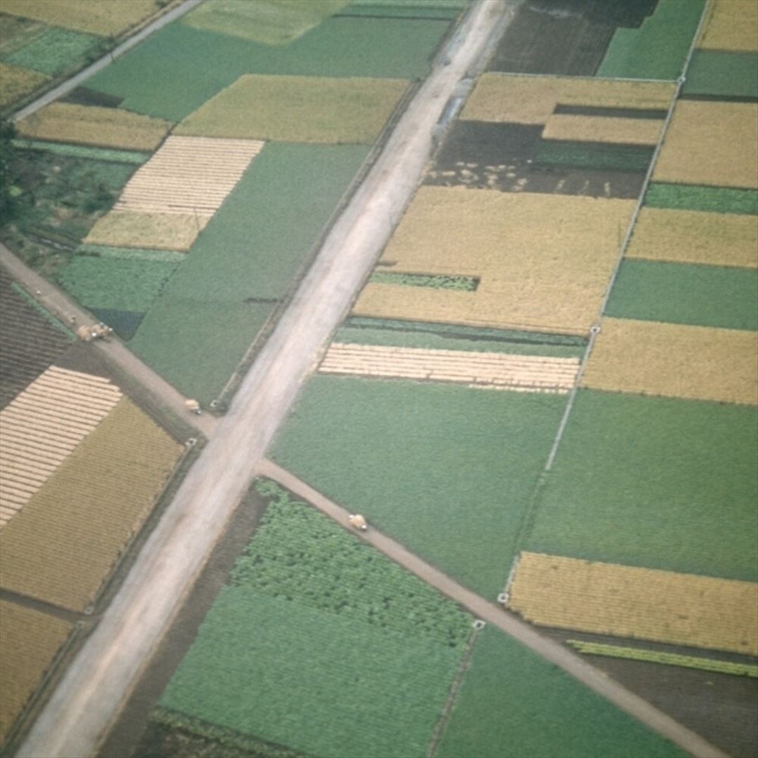 Perfectly Beneath Us cover art