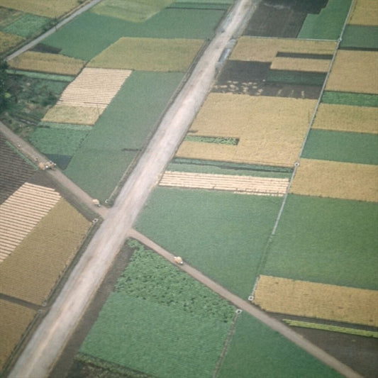 Perfectly Beneath Us cover art