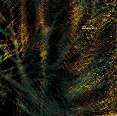 Joyful Process cover art
