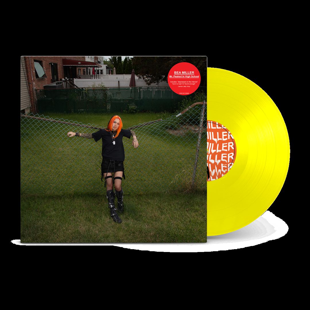 Mr. Peaked In High School [Lemon Jelly LP] cover art