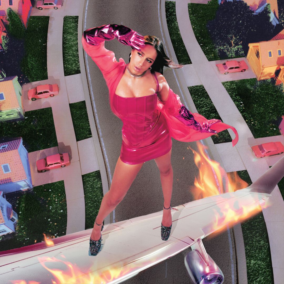 I Used to Think I Could Fly cover art