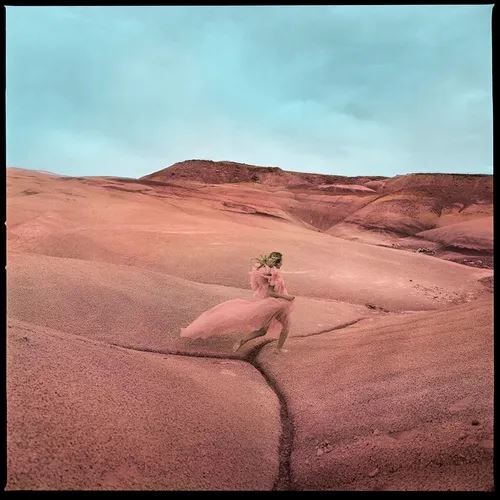 Strays [Purple Swirl LP/Flexi-7" Single] cover art