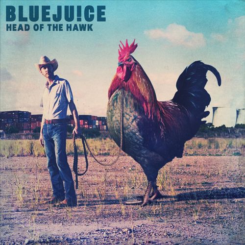 Head of the Hawk cover art