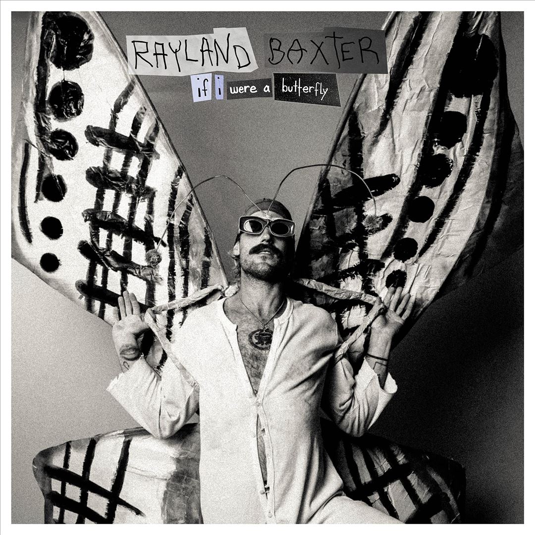 If I Were a Butterfly cover art