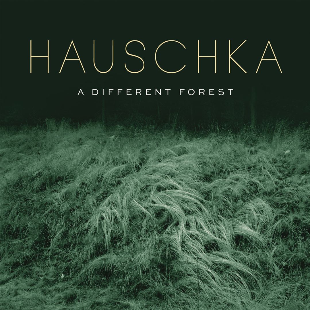 Different Forest cover art