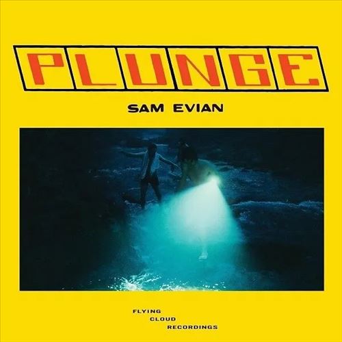 Plunge cover art