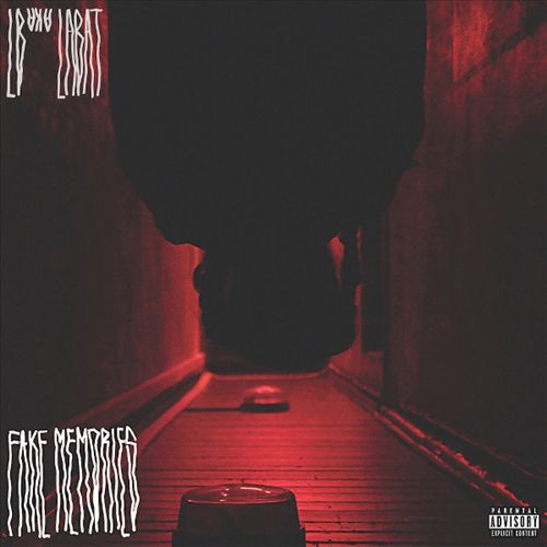 Fake Memories cover art