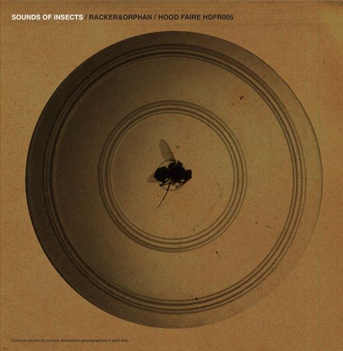 Sounds of Insects cover art