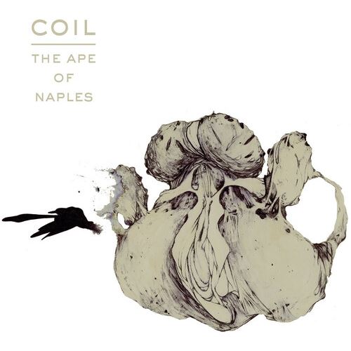 Ape of Naples cover art