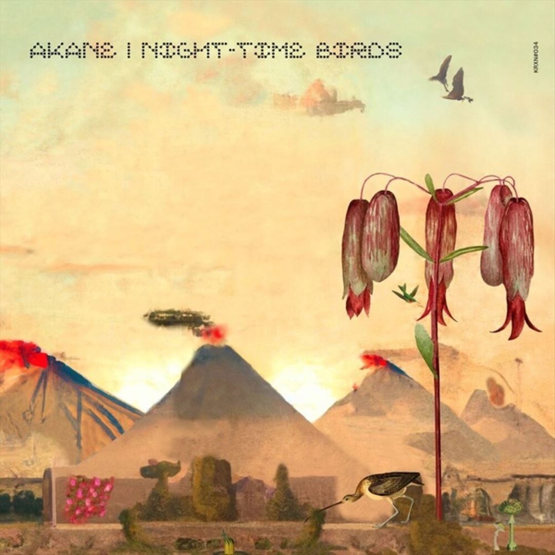 Night-Time Birds cover art