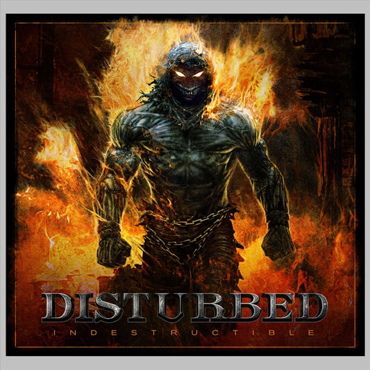 Indestructible [LP] cover art