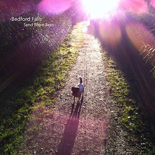 Send More Bees cover art
