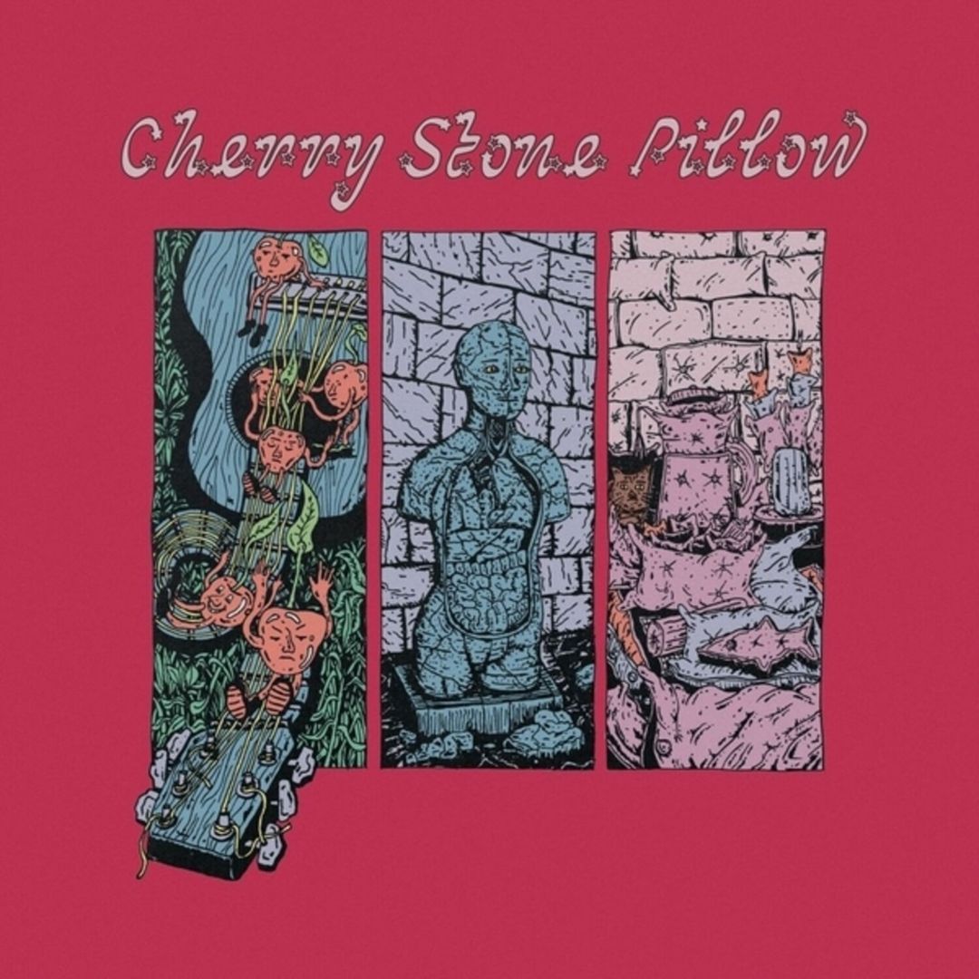 Cherry Stone Pillow cover art