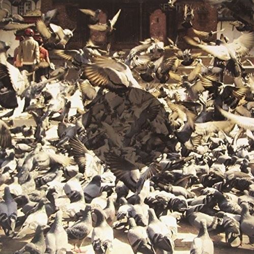 See Through Dresses cover art