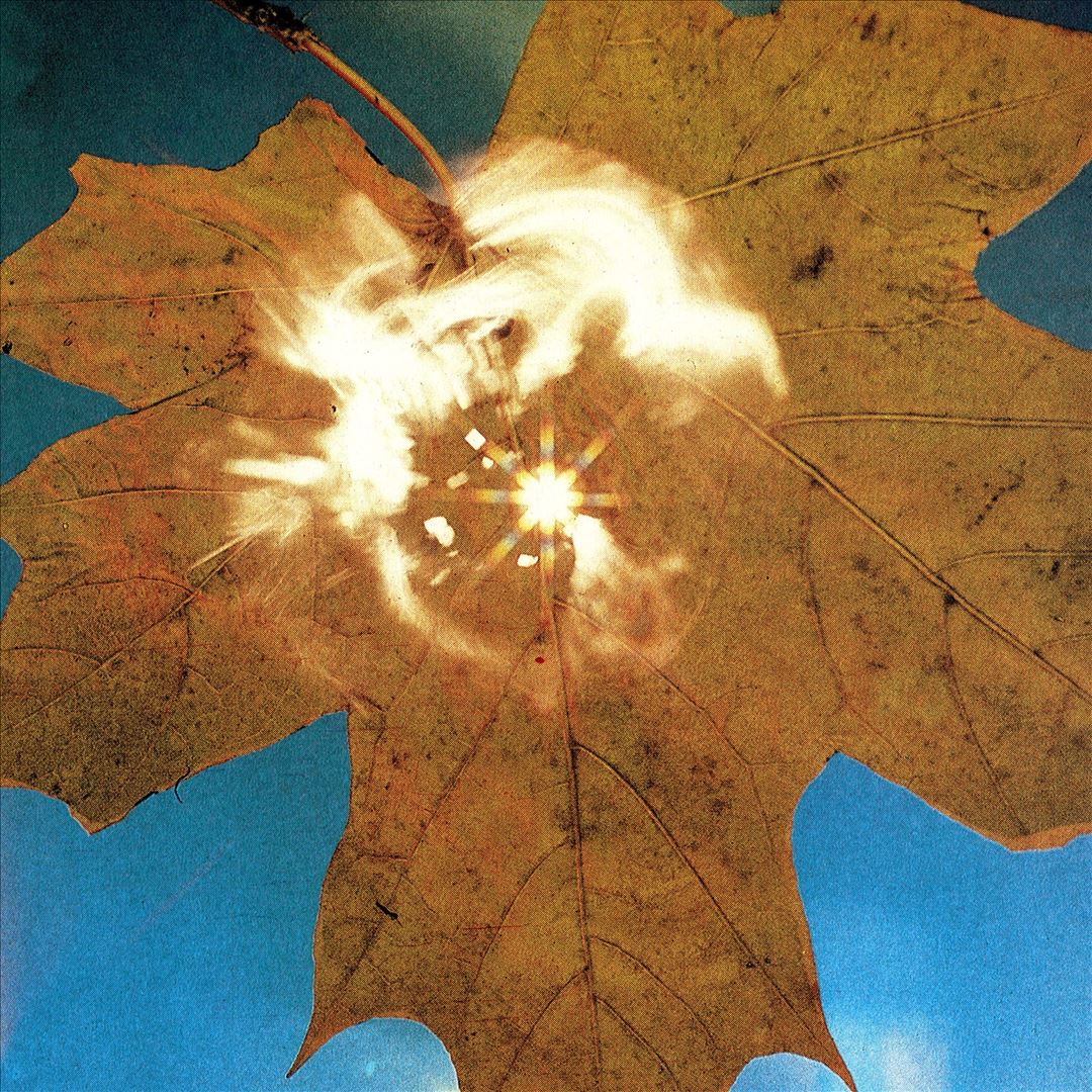 Force of the Wind cover art