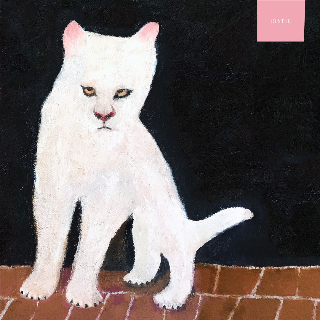 Duster cover art