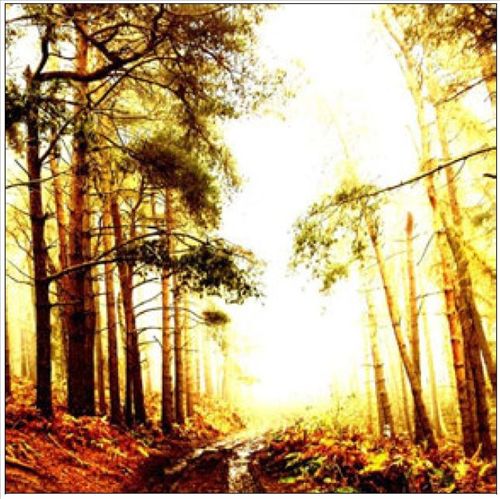 Take a Lover cover art