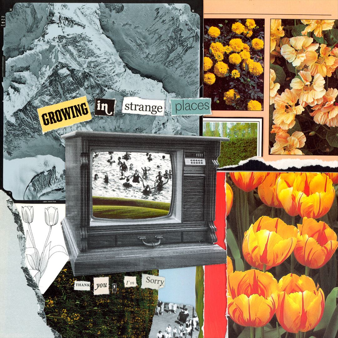 Growing In Strange Places (Orange Crush Vinyl) cover art