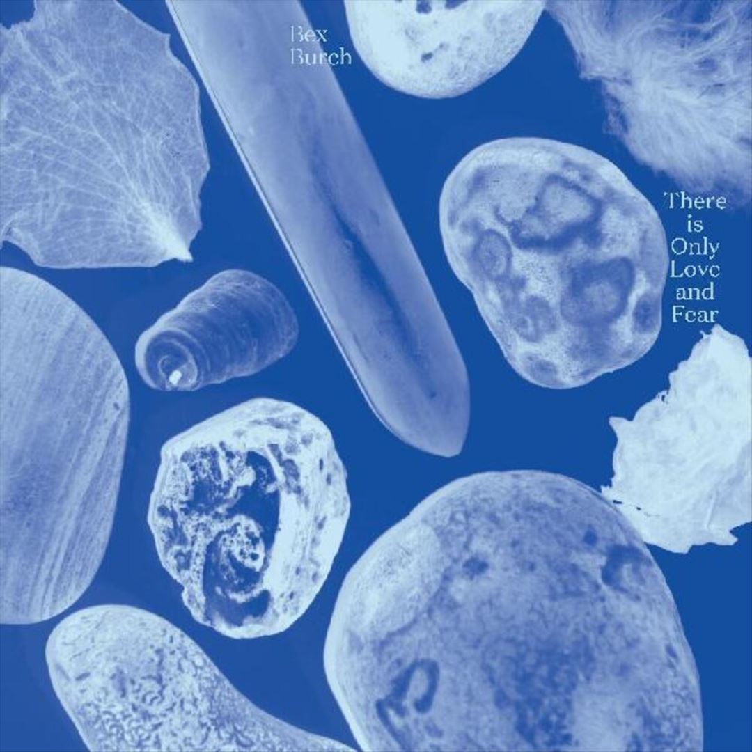 There Is Only Love and Fear cover art