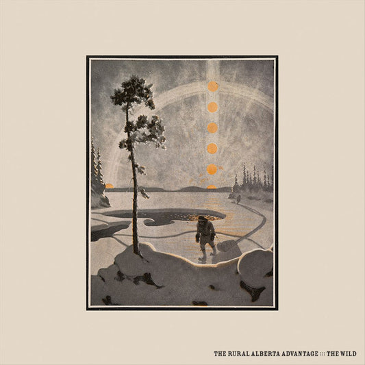 Wild [LP] cover art
