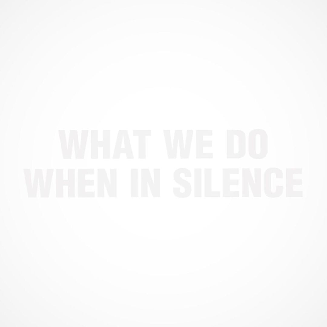 What We Do When in Silence cover art