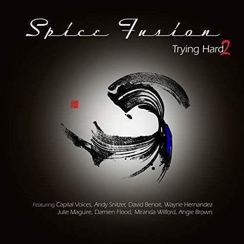 Trying Hard 2 cover art