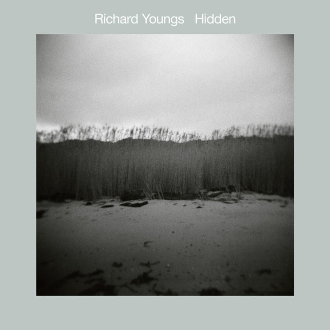 Hidden cover art