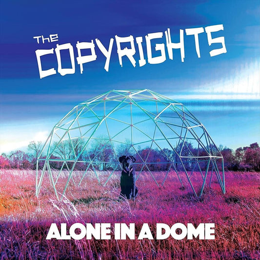 Alone in a Dome cover art