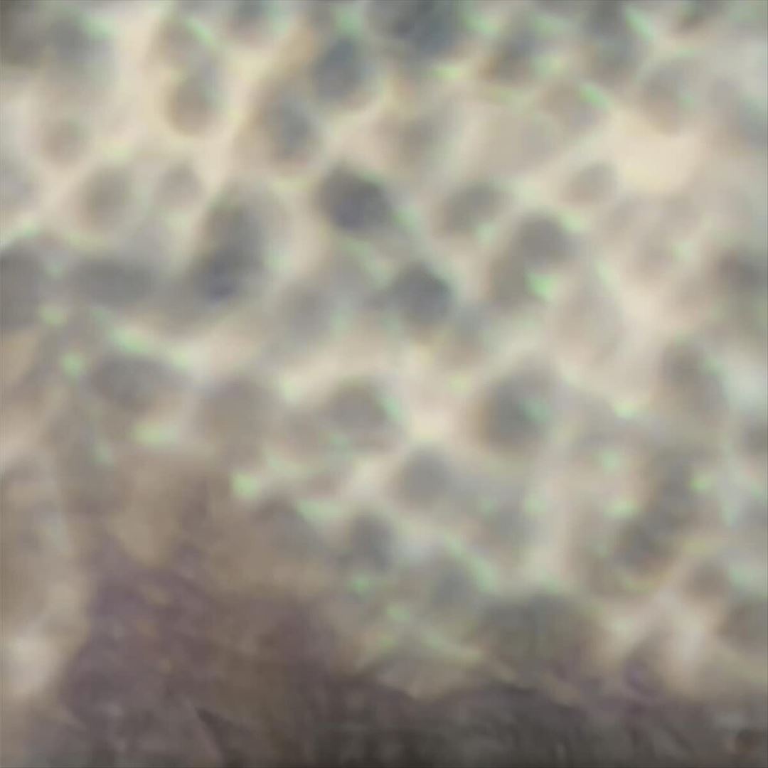 Ourselves, as we are cover art