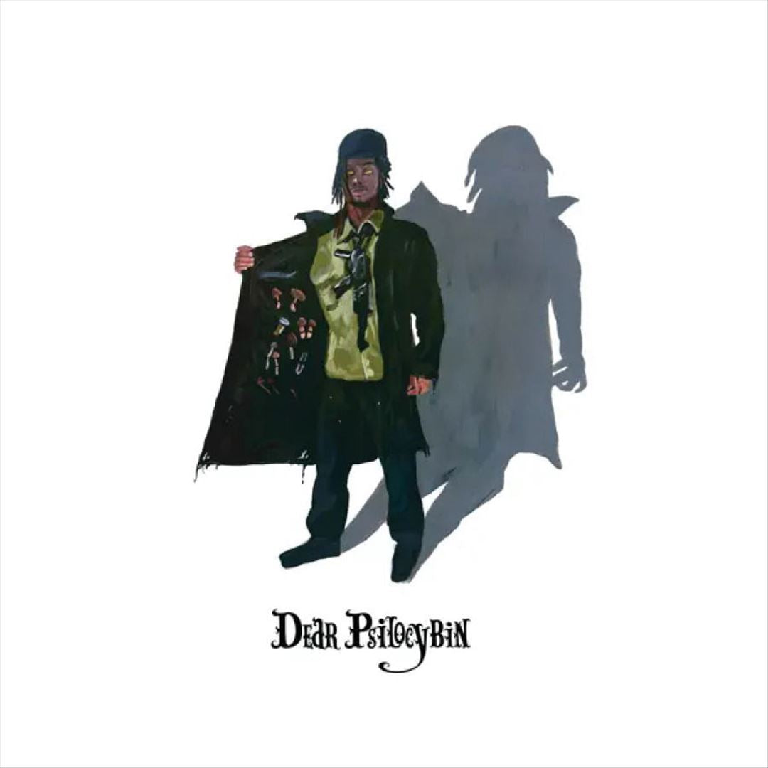 Dear Psilocybin cover art