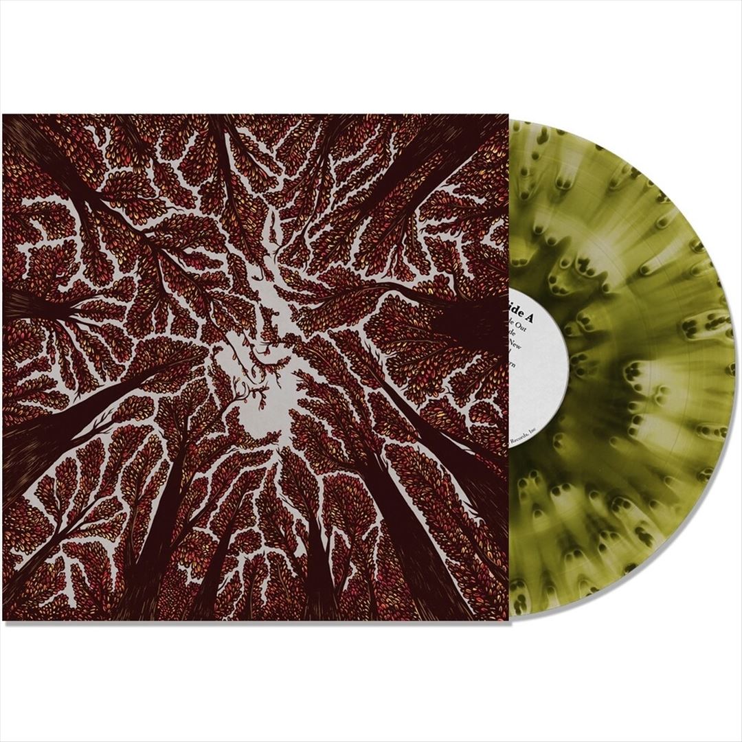 Crown Shyness cover art