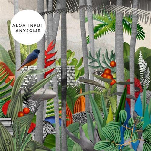 Anysome cover art