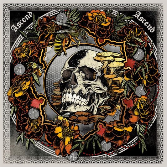 Ascend Ascend : Live In Seattle with Lori Goldston cover art