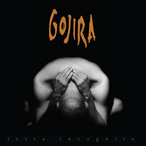 Terra Incognita [LP] cover art