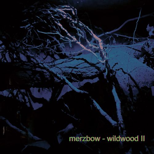 Wildwood II cover art