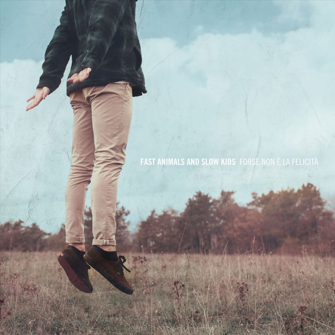 Forse non è la felicità cover art