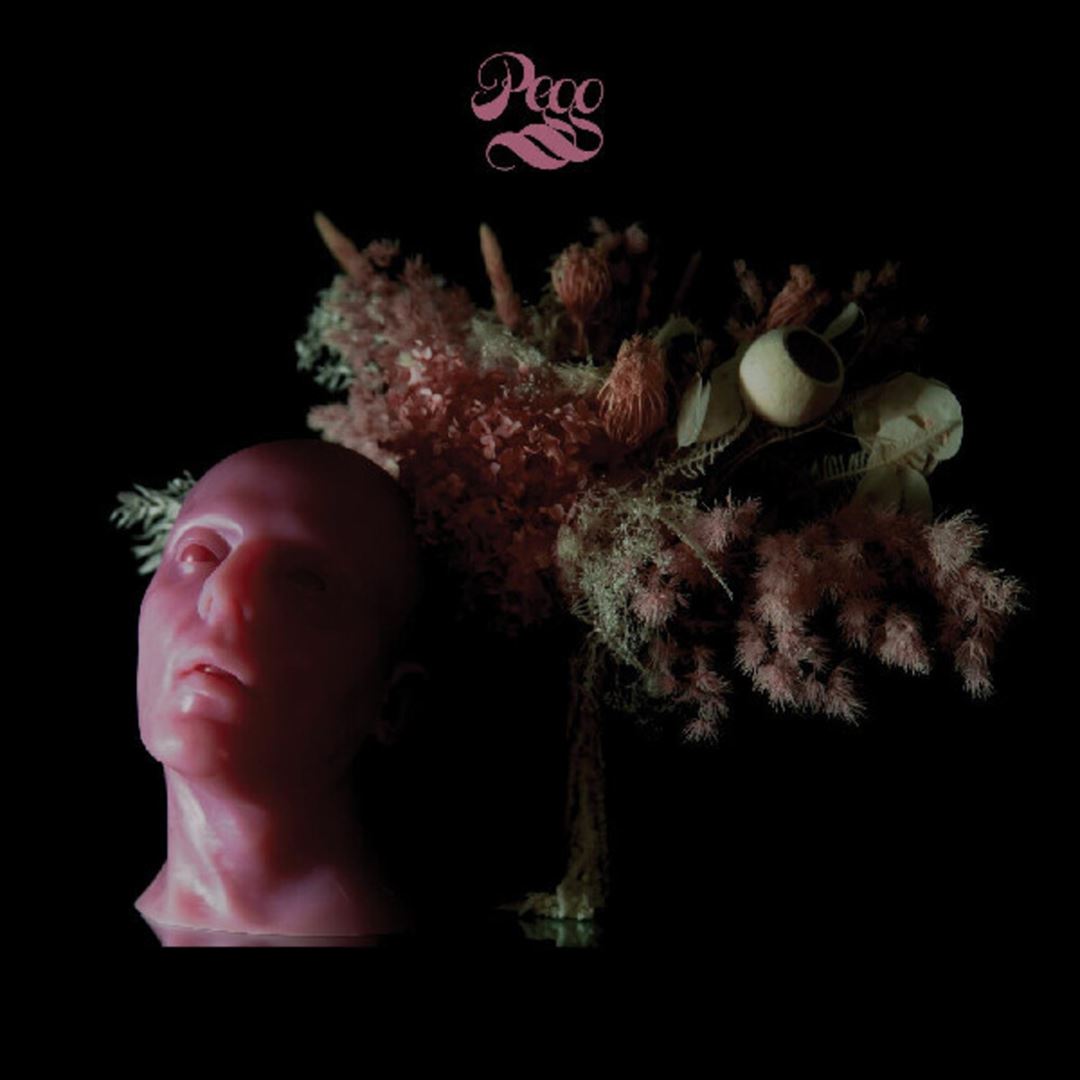 Pegg cover art